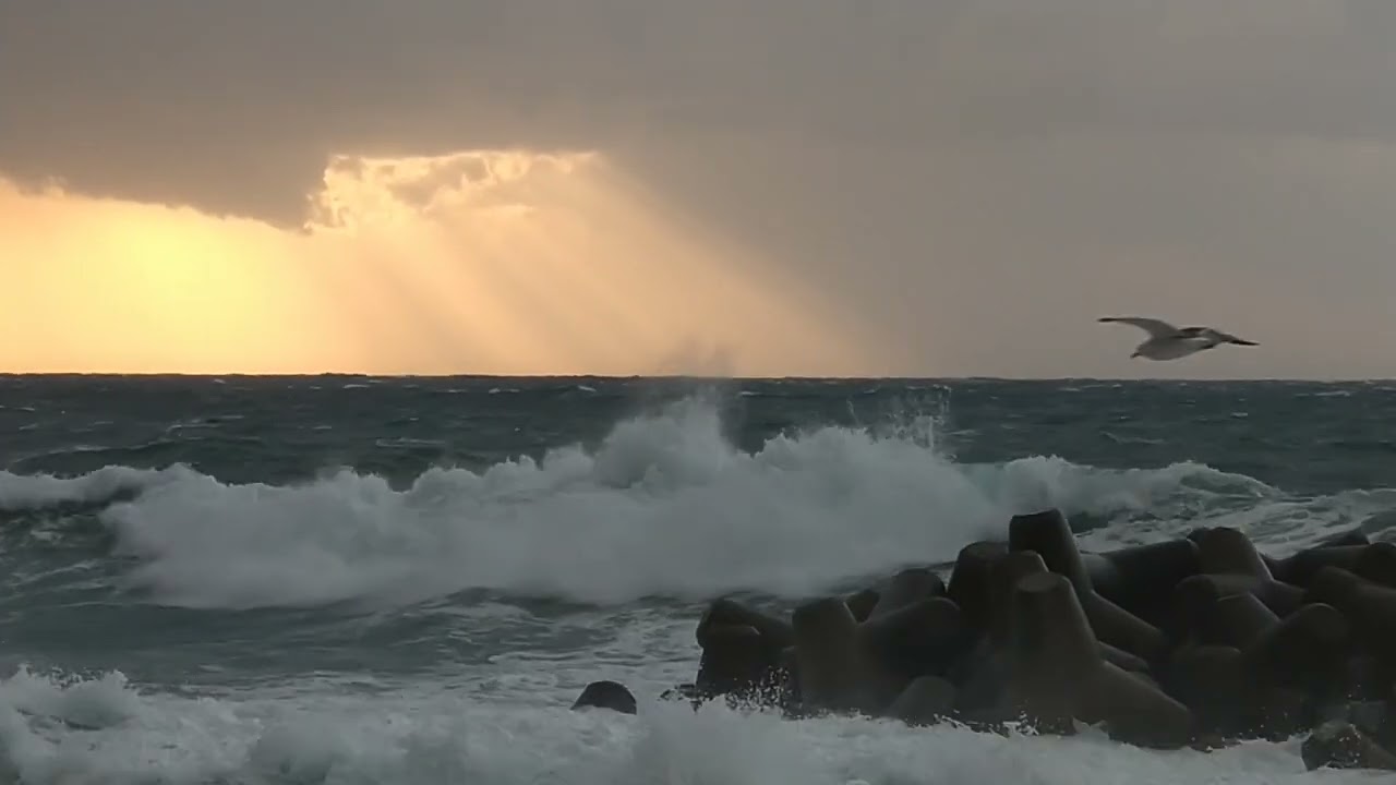 今日の日本海、全力だ　＃越前海岸＃大波＃海猫＃天使の梯子＃waves＃nature＃beach＃海＃波＃ocean
