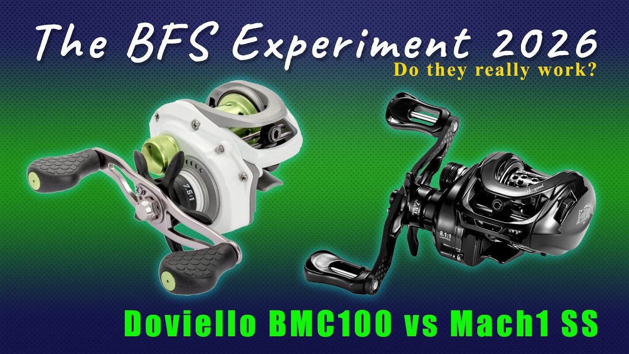Эксперимент BFS Reel 2026