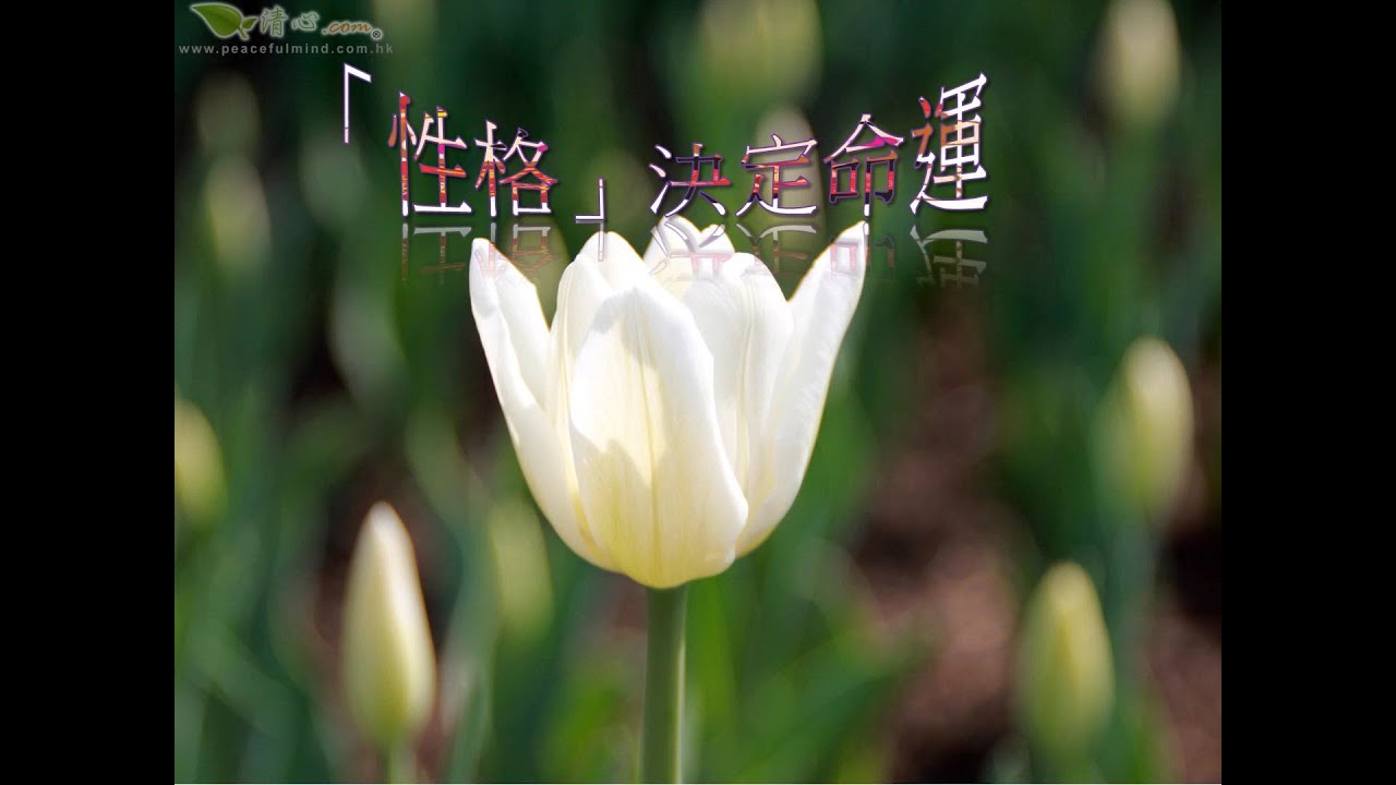 「性格」決定命運 心靈