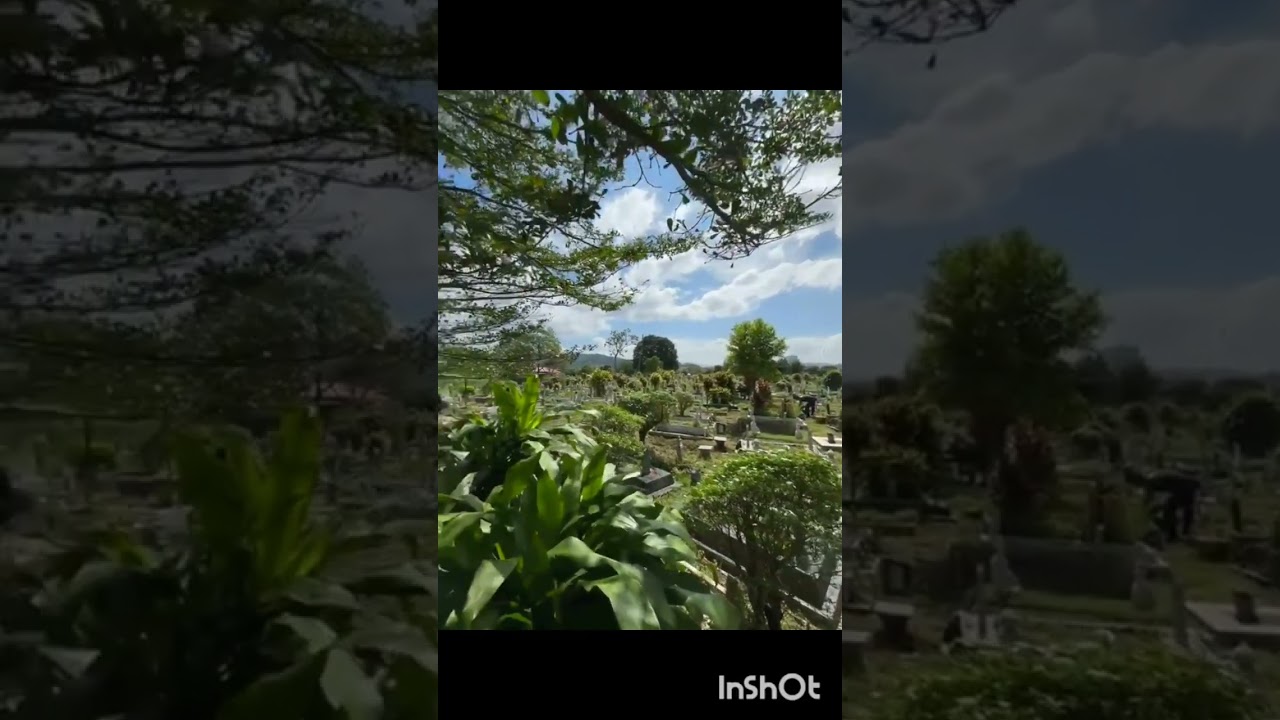CINTA YANG TERSISA