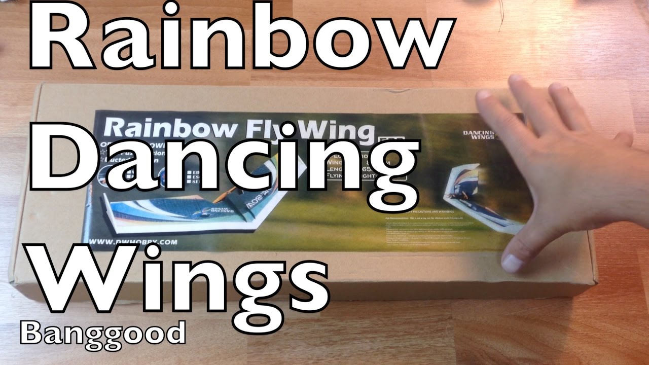 DW HOBBY Rainbow 800mm Wingspan EPP Flying Wing- Banggood