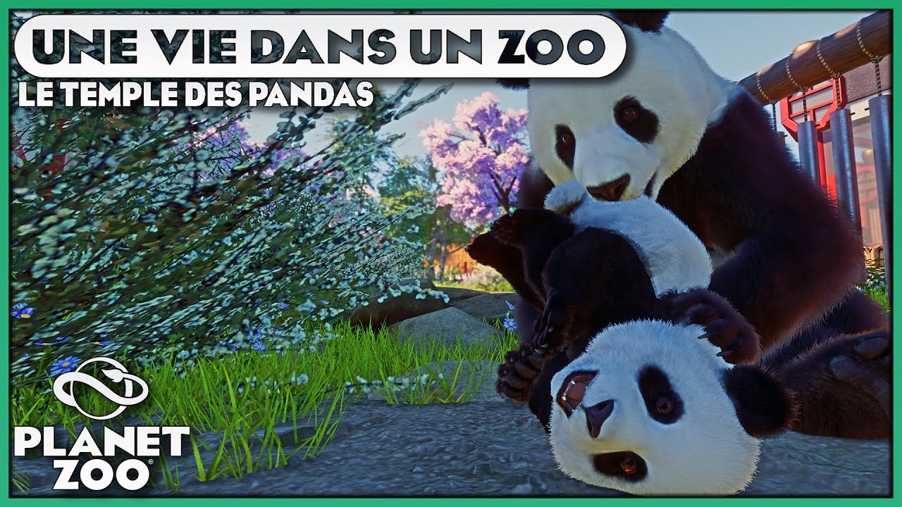 Le Temple des Pandas Géants | Franchise | ÉPISODE 8 | PLANET ZOO