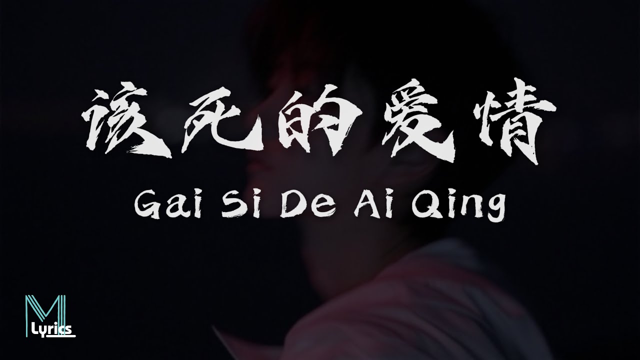 Wu Li (阿柴) - Gai Si De Ai Qing (该死的爱情) Lyrics 歌词 Pinyin/English Translation (動態歌詞)
