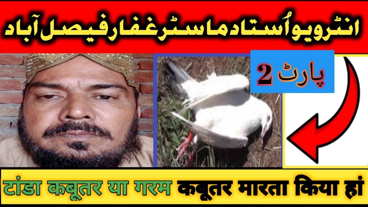PART/2/ Interview USTAD MASSTAR GAFFAR||LOW Flayer||काबूतर टांडा हो या गरम मारता किया हां||