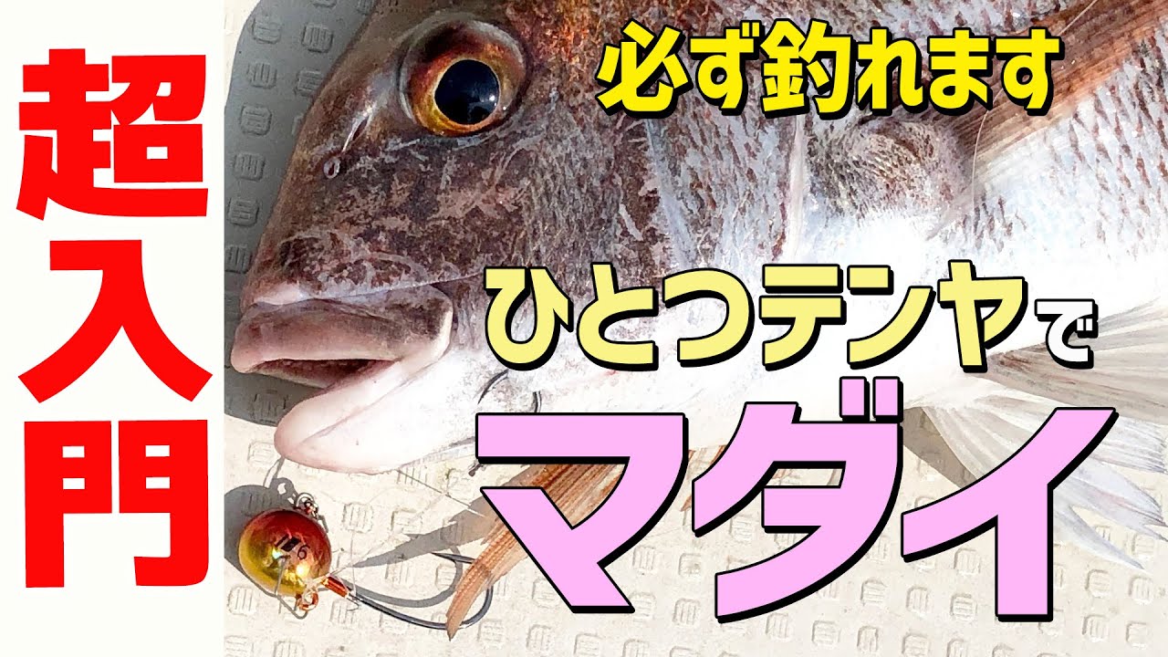 カンタン！釣れる！マダイゲーム超入門～ひとつテンヤ～〈前編〉｜伊丹章のGO! FISHING