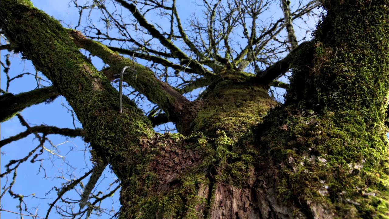 Amazing Oregon.