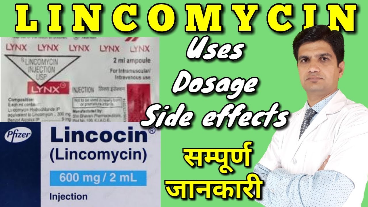 Lynx injection |lynx injection 2ml | Lincocin injection | Lincomycin injection uses, side effects