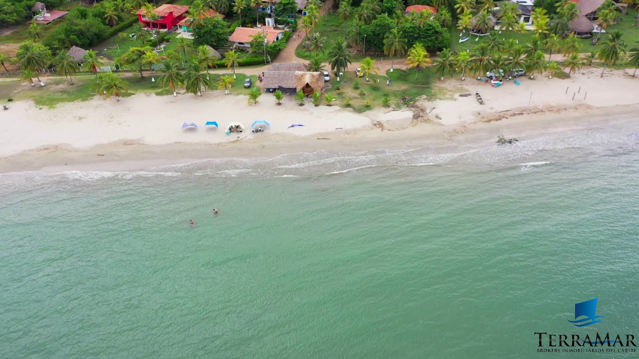 PLAYAS DE PUNTA BOLIVAR,  EN SAN ANTERO CORDOBA, UN PARAISO ESCONDIDO ENTRE LOS ARBOLES.