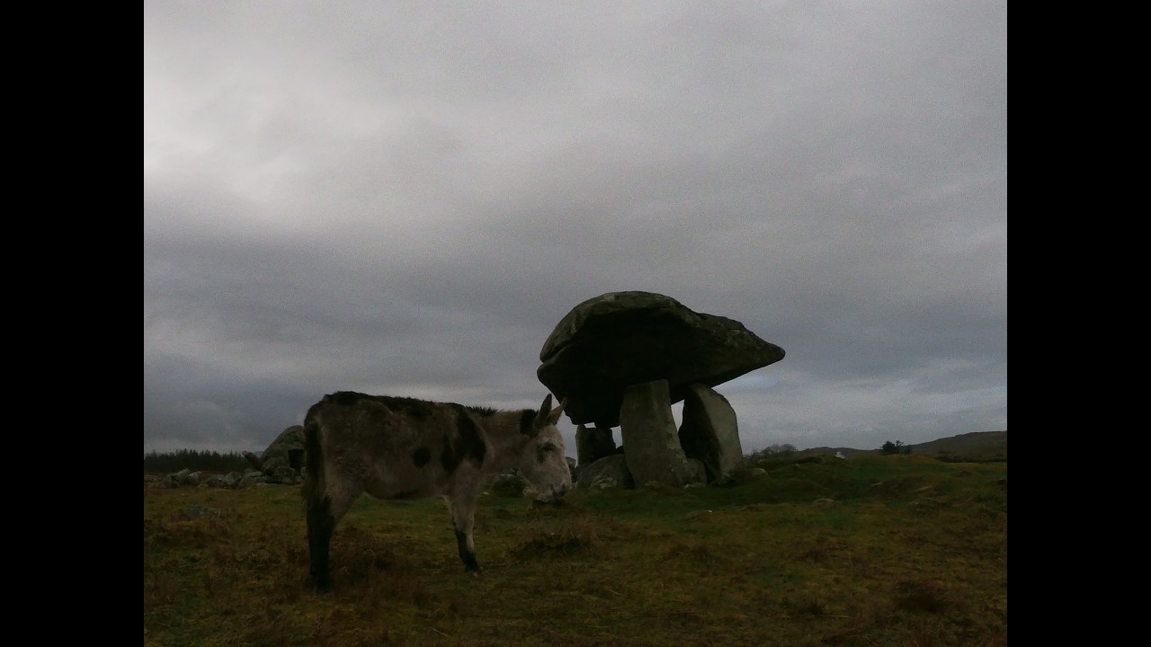 Exploring Ireland's past pt.1