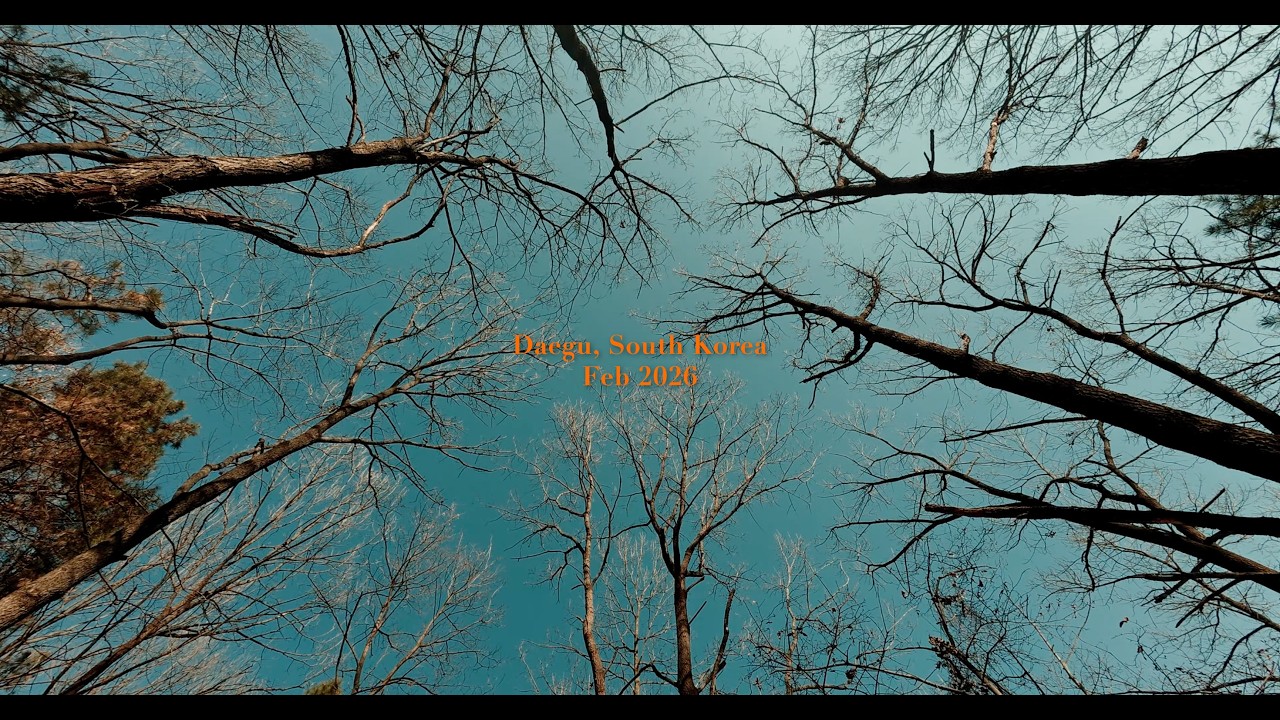 시네마틱 브이로그 | 송해공원에서 가벼운 하이킹 | Cinematic Vlog | A short hike in Songhai Park in Daegu