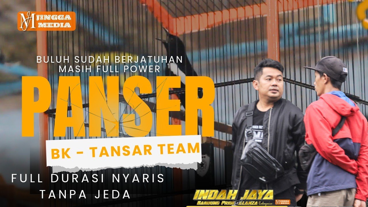 KACER PANSER |FULL DURASI NYARIS TANPA JEDA | MASIH HOT DALAM KONDISI BULU SUDAH BERJATUHAN!!! 