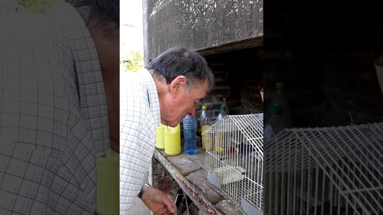 Edgar amaestrando pájaro