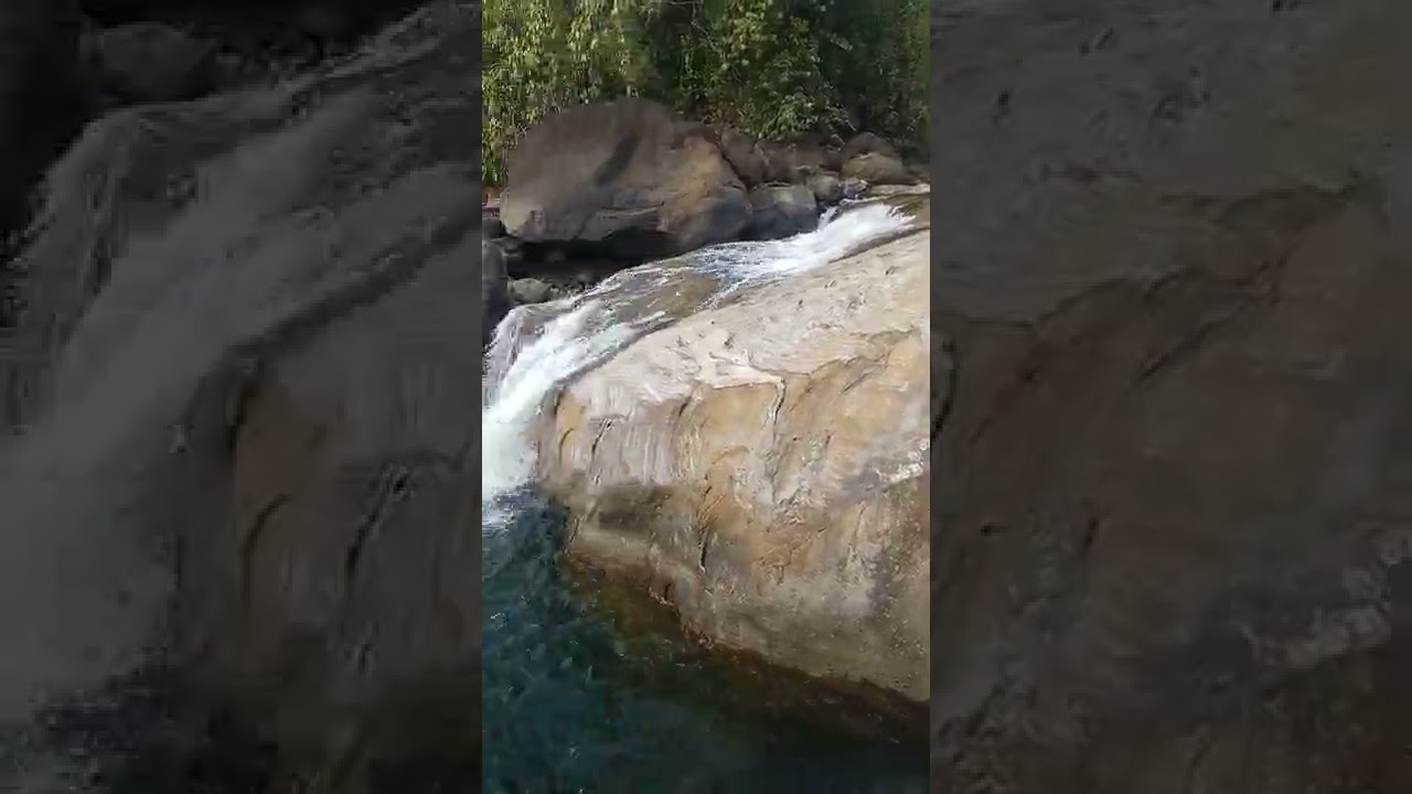 #Arippara