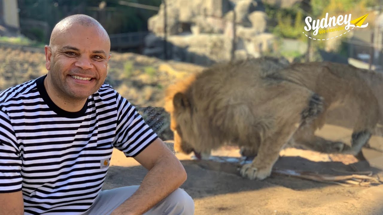 Sydney's Savannah at Taronga Zoo | Sydney Weekender