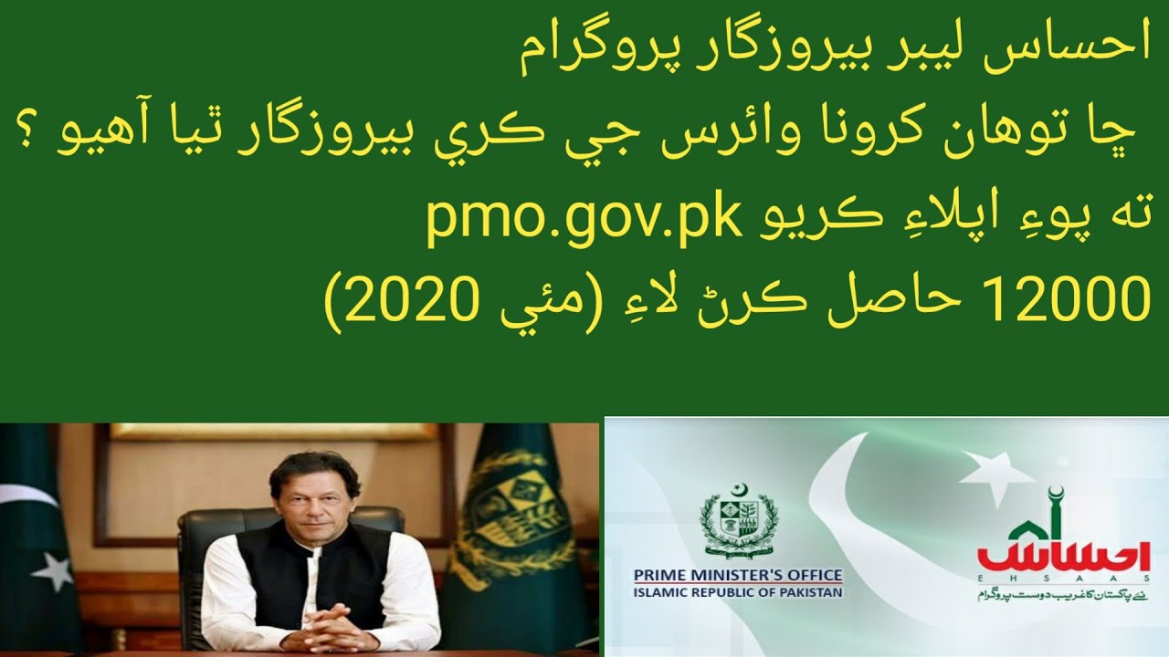 Ehsaas labour cash program|12000سڀني بيروزگار| نوجوانن لاءِ|Apply for labour online registration