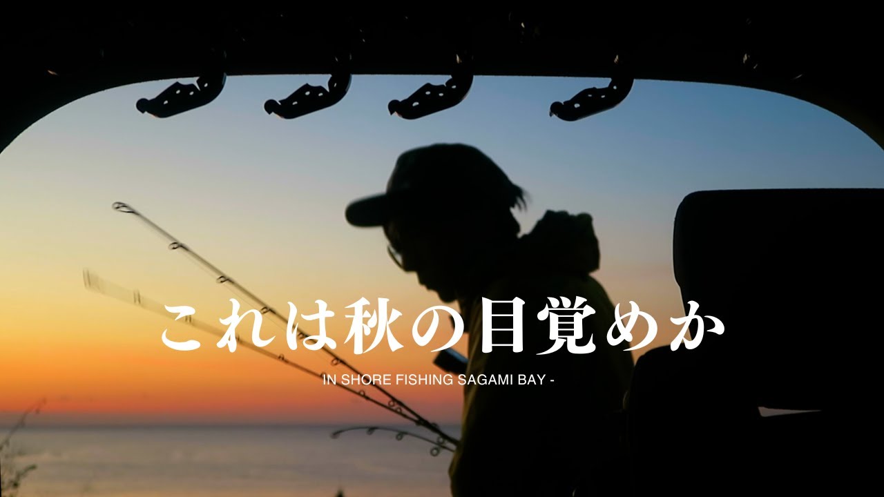 SUPに乗って追いかける秋の魚群