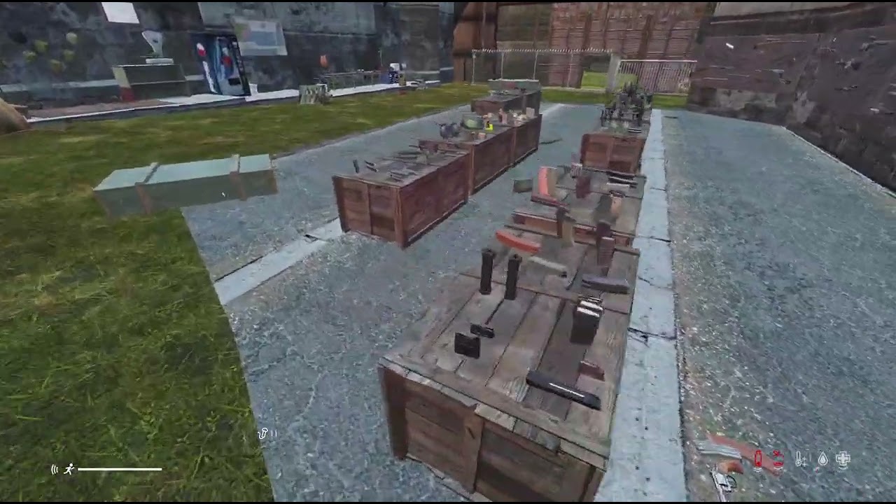 DayZ_20250216205253