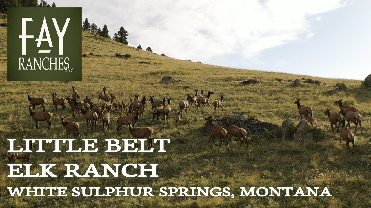 ПРОДАНО | Продаётся ранчо в Монтане | Ранчо Little Belt Elk | Уайт-Салфер-Спрингс, Монтана