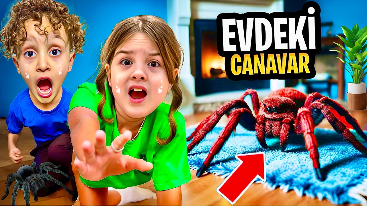 EVDEKİ DEV ÖRÜMCEK !! KUZEY ELİF BABAN KORKUDAN BAYILDI !! KUZEYİ ISIRDI !!