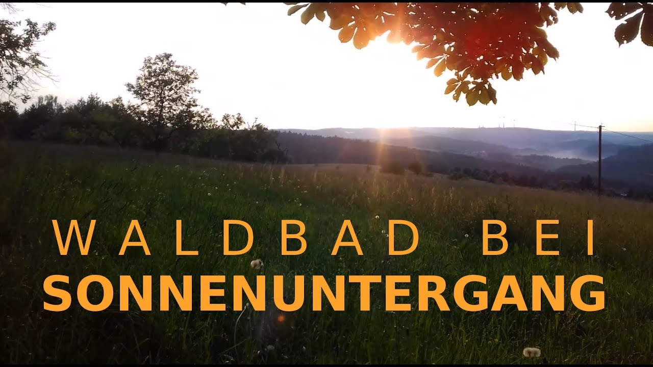 Ein kleines Waldbad vor Sonnenuntergang