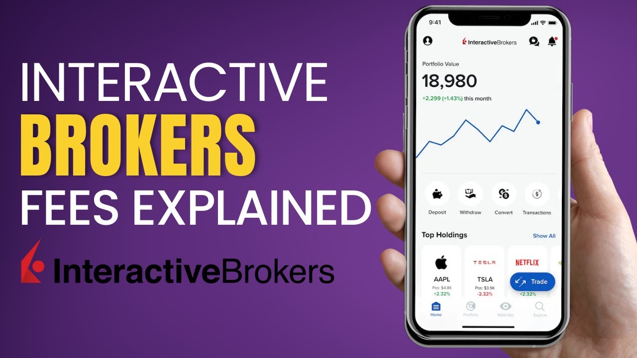 Interactive Brokers Fees Explained