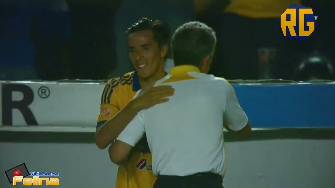 CLÁSICO REGIO 100 | TIGRES 3-1 MONTERREY | J5 APERTURA 2013 | GOLES DE ALAN PULIDO Y LUCAS LOBOS