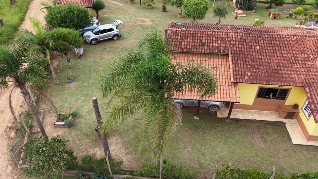 Chegada Chico e Repolho