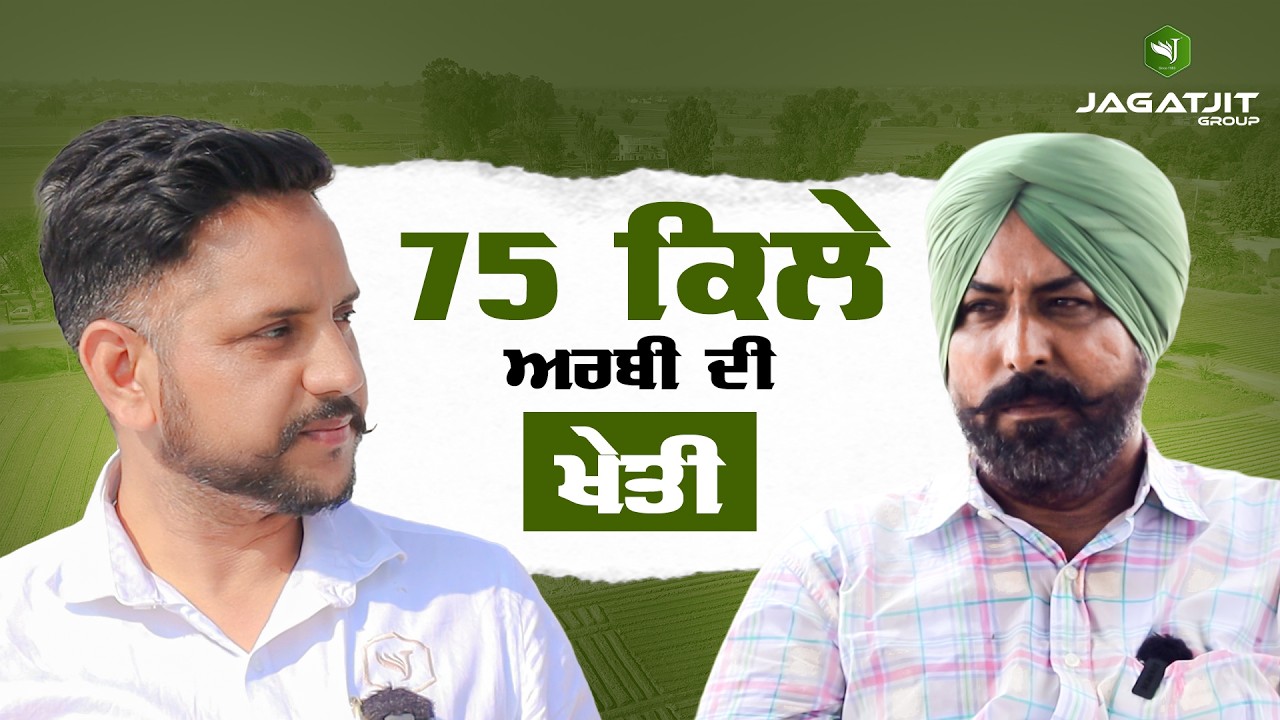 75 ਕਿੱਲੇ ਅਰਬੀ ਦੀ ਖੇਤੀ | Jagatjit group