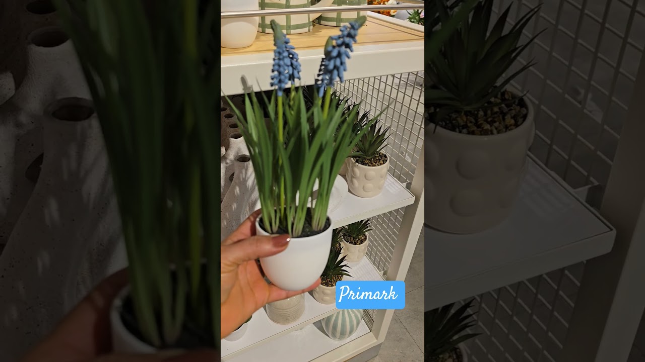 Primark Home Deco New Collection 2026