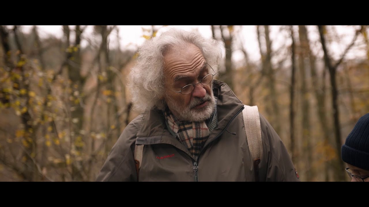 „Saarland – Waldland“: Ein Kurzfilm über die saarländischen Wälder
