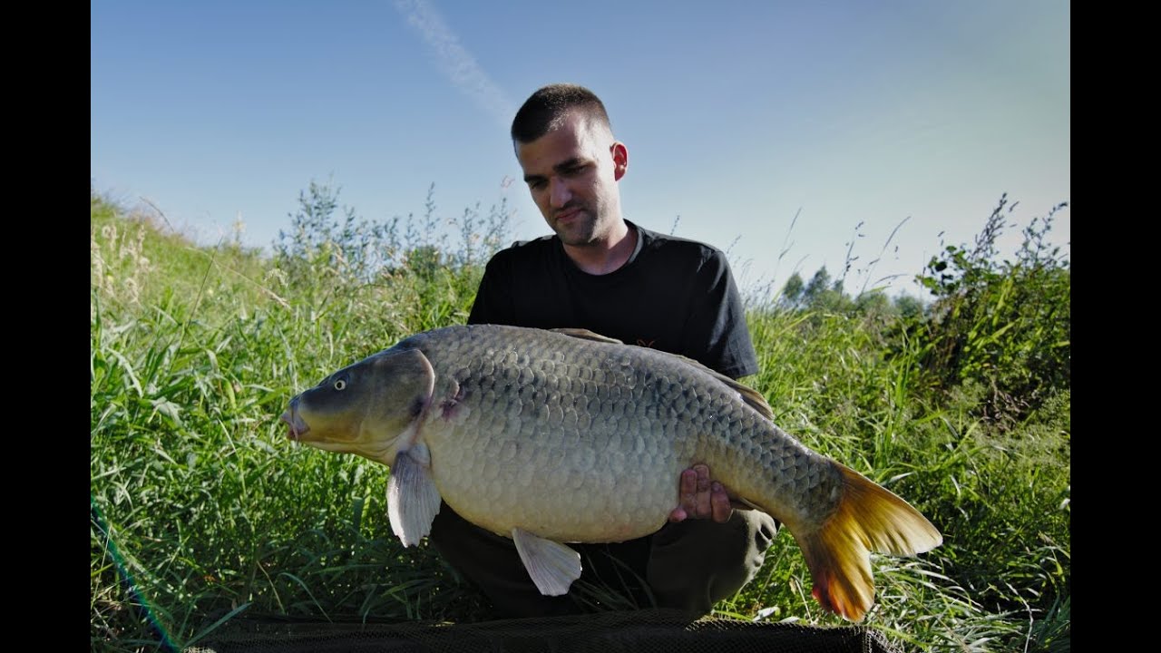 Night carp fishing on river | Nočný lov kapra na rieke