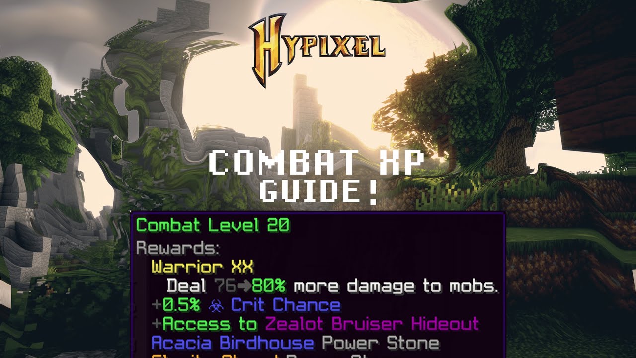 The ULTIMATE Early Game Combat XP Guide! (Hypixel Skyblock)