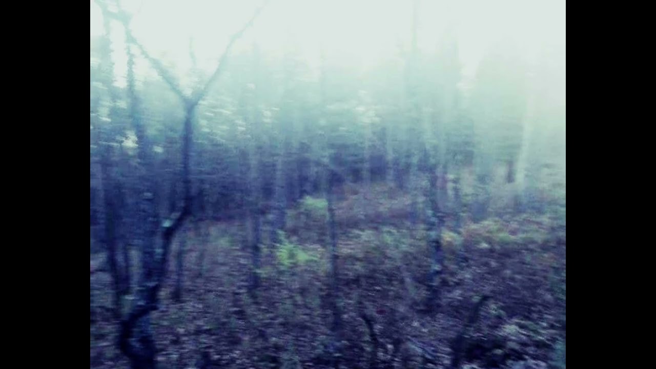 milord, blindheart - despair time (slowed v2)