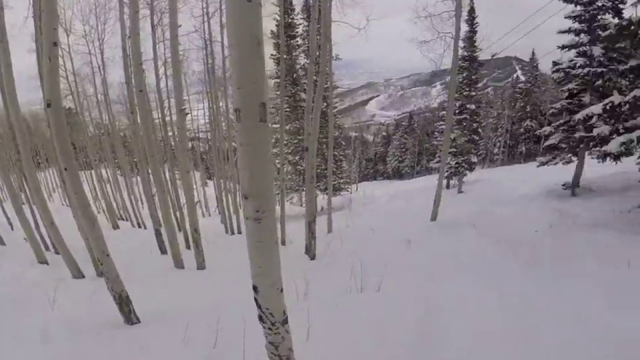 Tree to Pee run