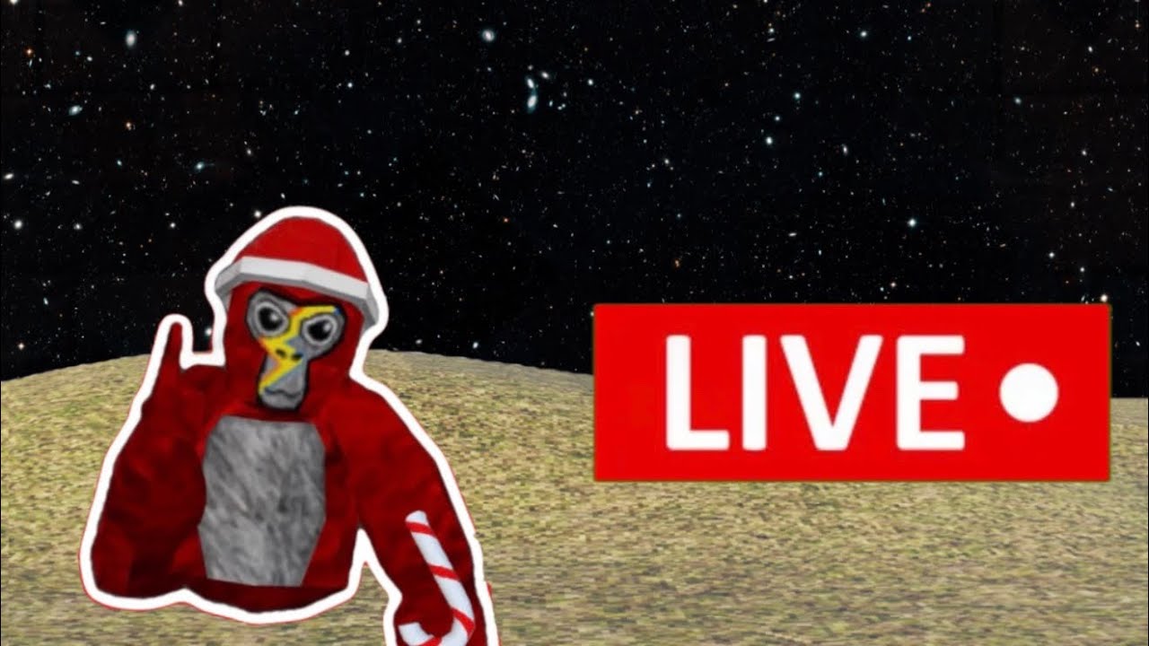 Live in gtag with YOU!!