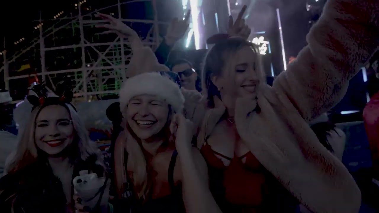 Polar Bears at Santacon San Diego 2024