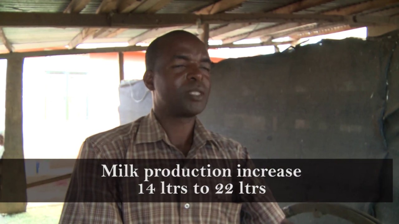 Dairy Farming | BIO-SLURRY APPLICATIONS