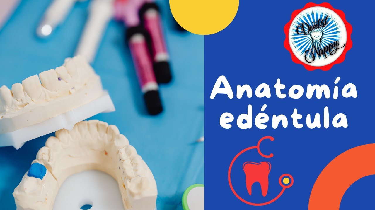 Anatomía edéntula