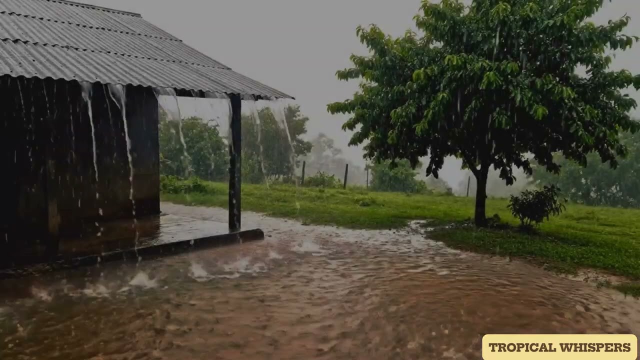 Heavy Rain on Metal Roof &ndash; Deep Sleep Rain Sounds (No Talking, No Thunder)