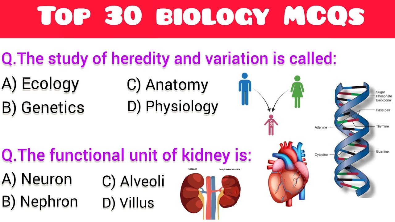 Biology MCQs for All Competitive Exams | Important Biology MCQs |#biologymcq,#sciencegk,#biologygk
