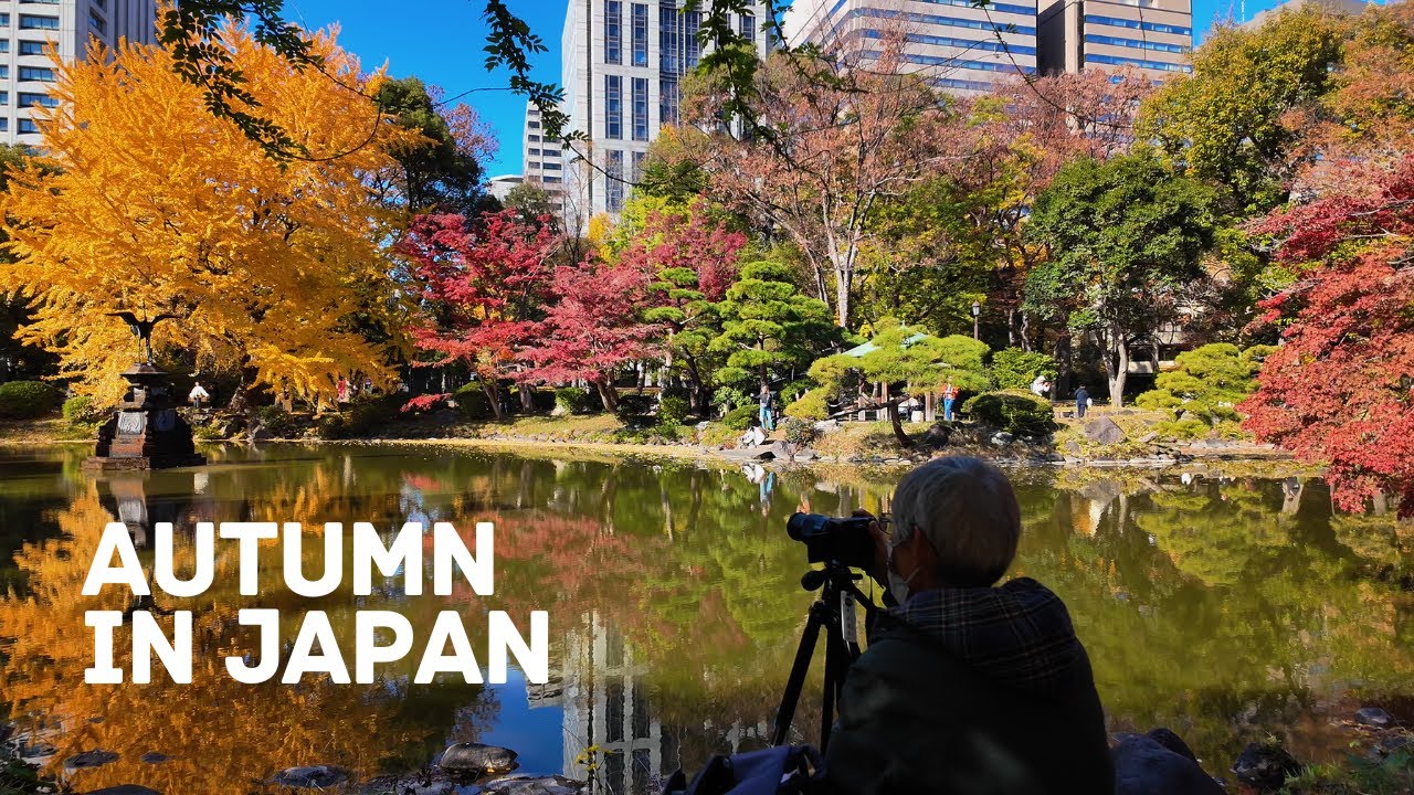 Didn't Expect This When Went For A Walk! Autumn Food Festival In Tokyo Japan