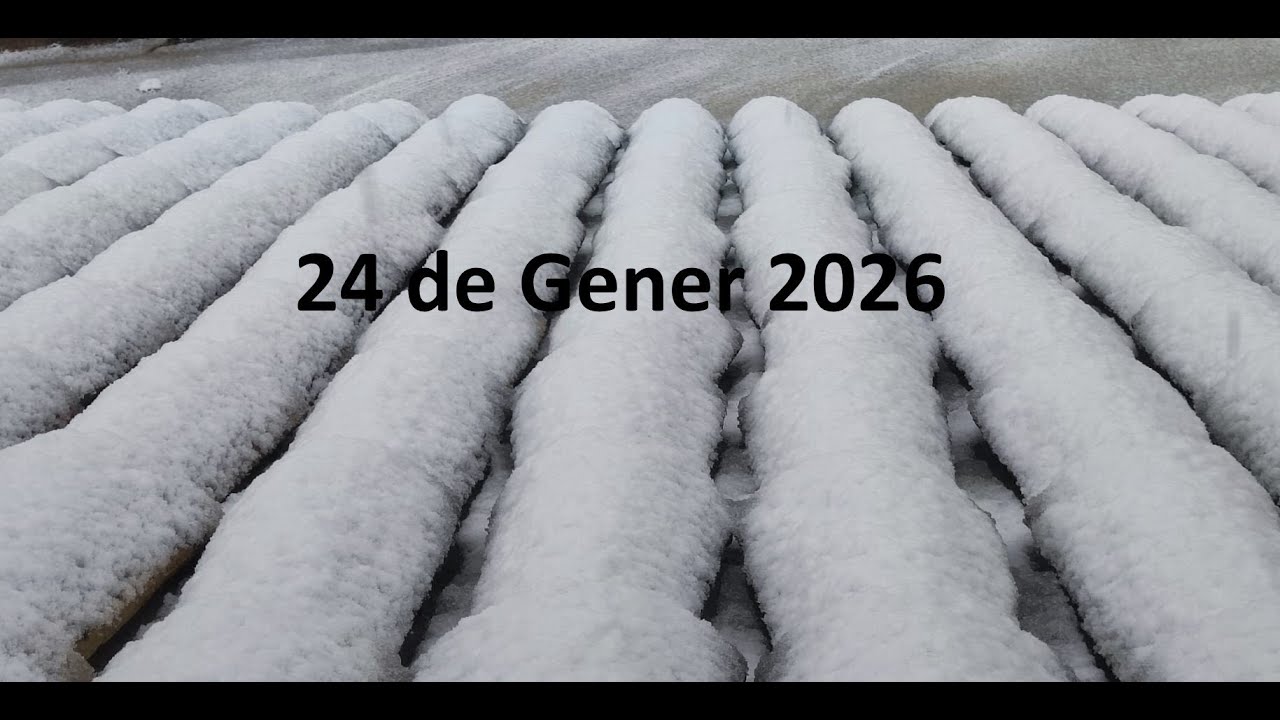 Nevada 24 de Gener 2026