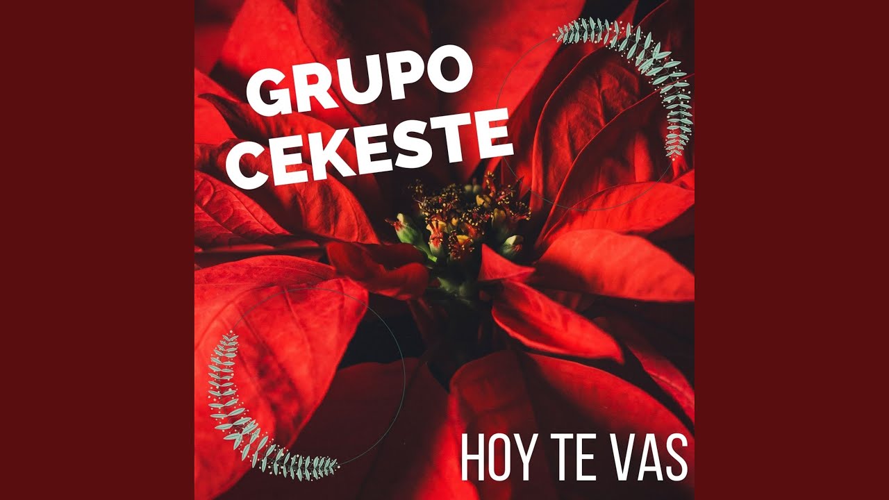 Hoy Te Vas