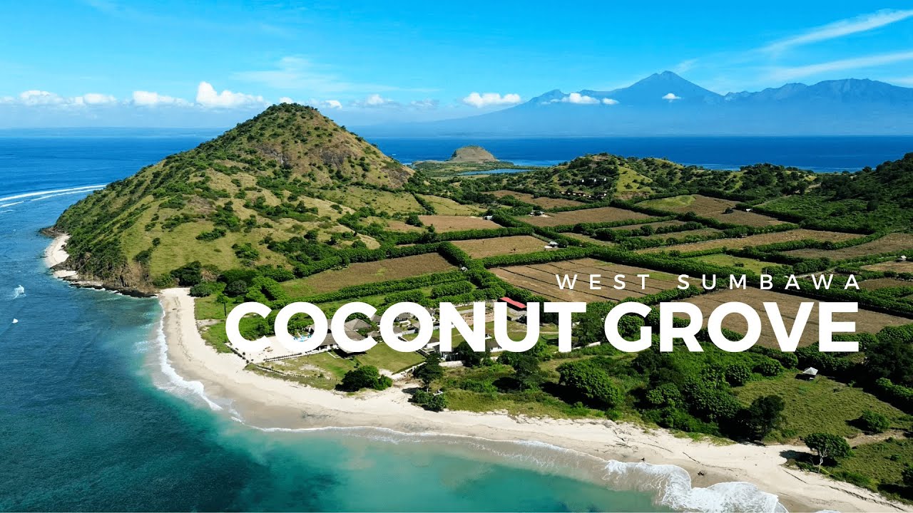 COCONUT GROVE - WEST SUMBAWA