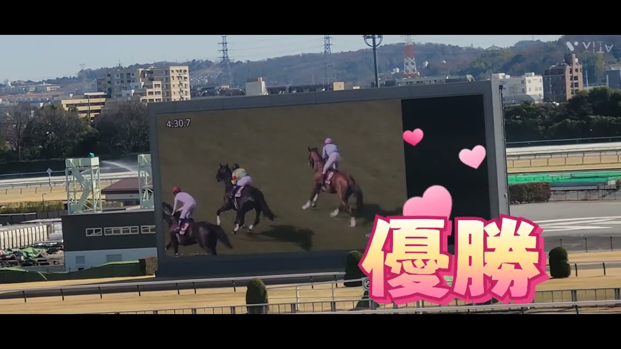 ディナースタ(牡7)が阪神スプリングジャンプ(J・GⅡ)を優勝❗