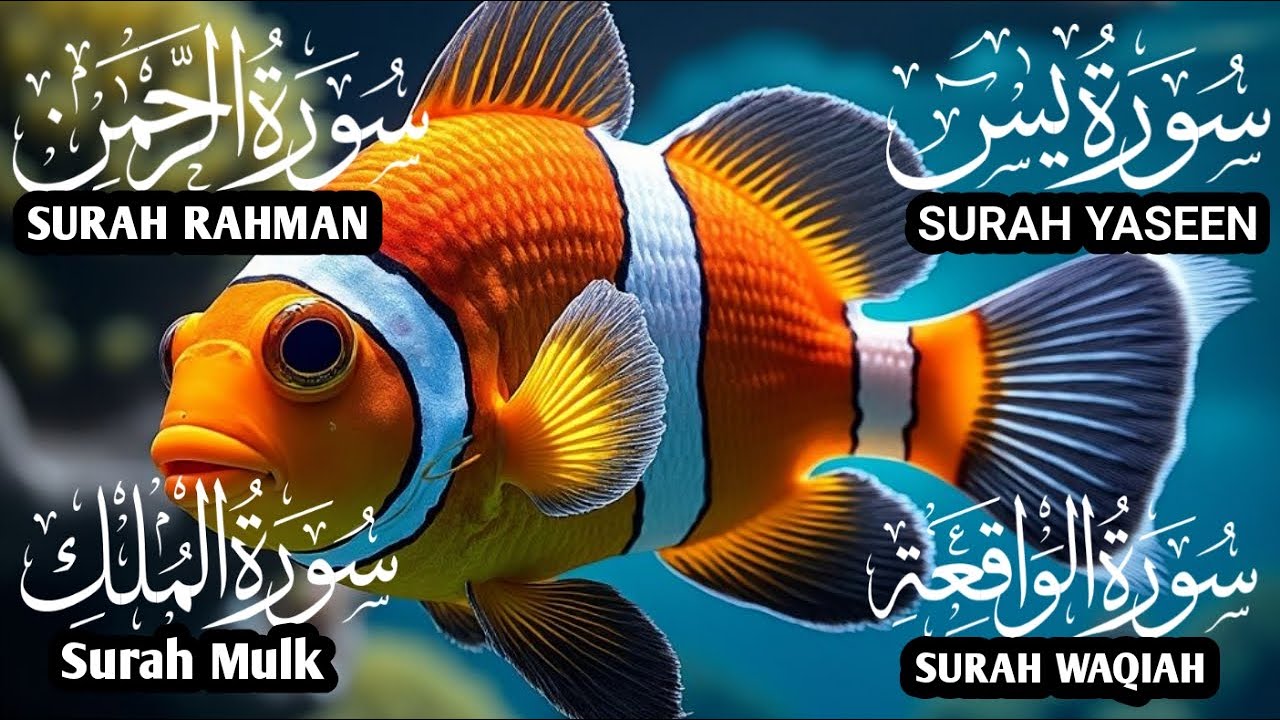 تلاوة خاشعة سورة يس،الواقعة،الملك،والرحمنqurantilawat# Yasin❤️Rahman❤️Mulk❤️Waqiah  #quranrecitation