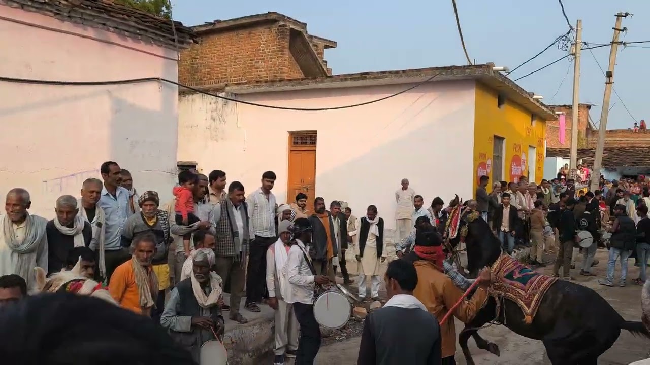 04 February Nanaura mela mahotsav (kansh vadh )