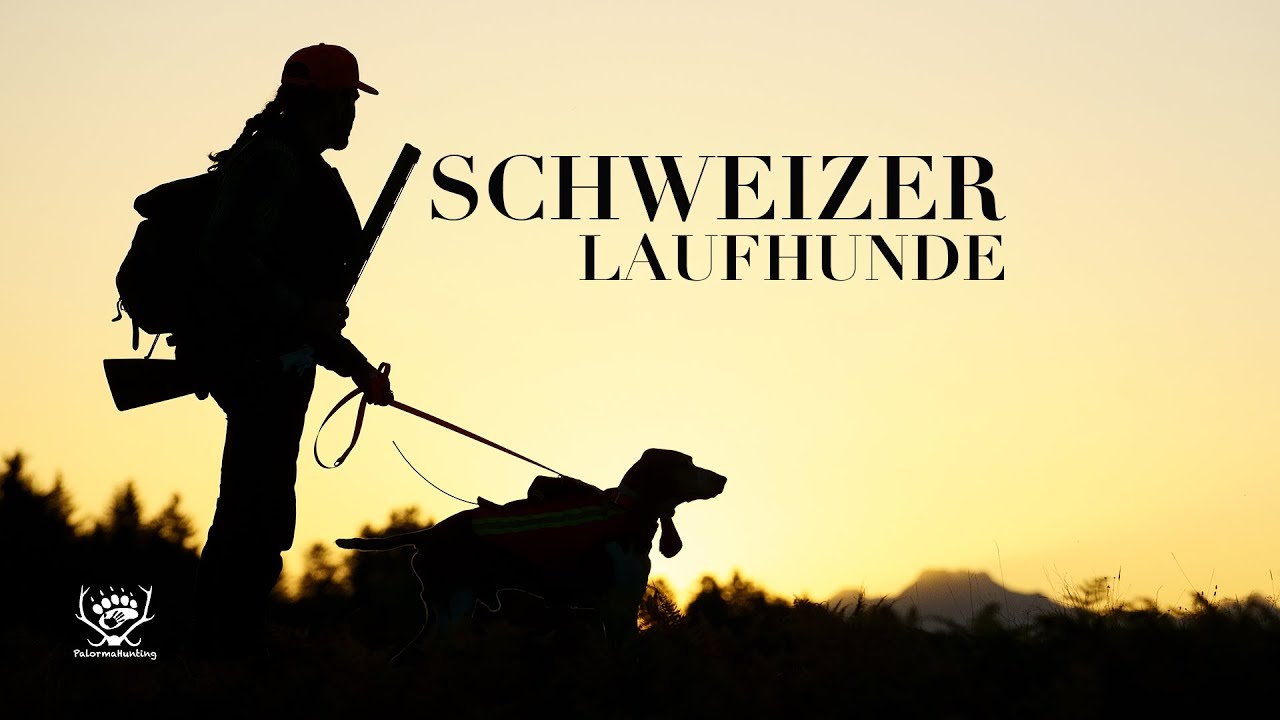 SCHWEIZER LAUFHUNDE | Ein Kulturgut in Gefahr