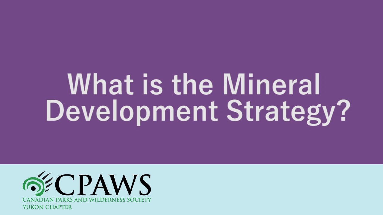 What is the Mineral Development Strategy?