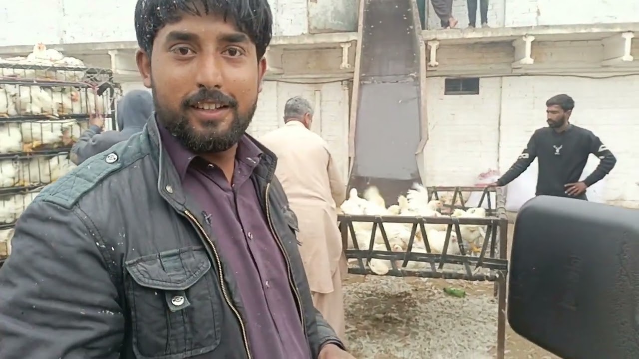 Poultry business idea